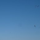 북촌환해장성 이미지