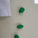 다육이 아트(B) 이미지