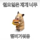 맘모스세탁소 | 10월 3주차