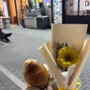 마곡꽃과나무 네이버블로그
