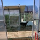 죠이월드 이미지