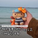 군산사랑국제결혼 | 제주동쪽여행 day 1,2- 제주 시내 구좌 함덕 맛집 카페 소품샵