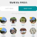 한일우호관 주차장 | 대구 미술관 옆 동물원 투어 버스 아이와 가볼만한 곳 코스 주차 정리