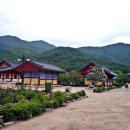 상운산 | 청도의 여행 필수코스 천년 사찰 운문사와 함께 가볼만한 근처의 상운산 등산길 후기