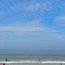 미가횟집 이미지