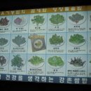 강촌 삼거리 이미지