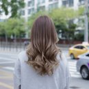 모이모이 이미지