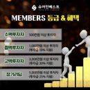 슈어인베스트