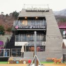 미앤마이독스 이미지