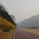 국토종주자전거길1-105 이미지