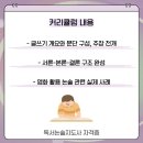 독서논술지도사 기본과정 이미지