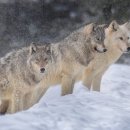 30Month hotel 이미지