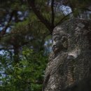 경주 남산 삼릉곡 마애관음보살입상 이미지