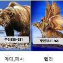 다니엘 이미지