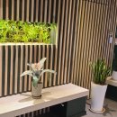 해궁참치 이미지