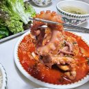 신방통통 낙지 이미지