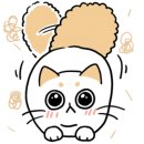 엉클스캣 이미지