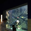장산IC주유소 | 부산 수산과학관(FISHERIES SCIENCE MUSEUM)