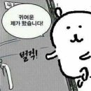 장터통큰치킨 이미지