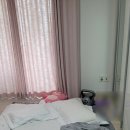 금성프라자 | 울빙빙이님과 신혼 침대로 금성침대 루미에르 구매한 후기 내돈내산