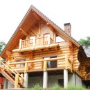 나무와 돌 이미지