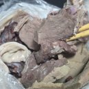 빨강 호랭이 이미지