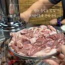 123돼지부속본점 | 원주 중앙동 맛집 원주고기집 123돼지부속 본점 추천