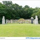 성사동 권희선생묘 이미지