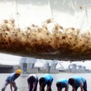 동남자원 이미지