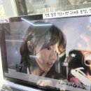 이서민헤어 | 📸홍대 포토그래피 내돈내산 후기/사진 잘 나오는 꿀팁/데이트 추천/금액 정보🤳🏻