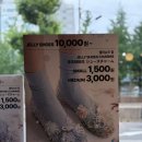 미미슈즈 | 동대문 젤리슈즈꾸미기 미미라인 동대문점으로 가야하는 이유!