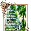 "마음에 묻다" 이미지