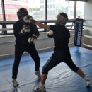 용인대W복싱짐 2호점 이미지