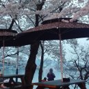 내생애경주