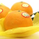 향긋농장 이미지