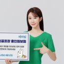 홀인원스크린골프 이미지