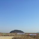 엘지 주유소 이미지