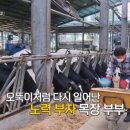 부부목장 이미지
