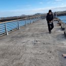 항구스테이 이미지