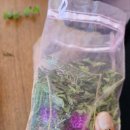 솔봄농장 이미지