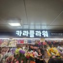 카라샾 이미지