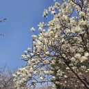 신장근린공원2 이미지