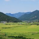 못샘