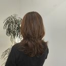 헤어셋틀러 이미지