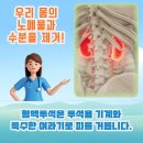 고령백의원 이미지
