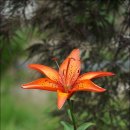 동양인문학-풍수지리학의 실전 | 길 위의 인문학