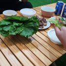 단양소백산펜션
