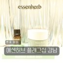 종로-신영-종로-영-170 | 감성 자연주의 브랜드 에센허브 플래그십 스토어 강남점 방문 후기 :: 이벤트 위치