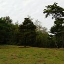 정구묘역 이미지