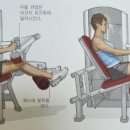 곤코치 피트니스 프리미엄 이미지